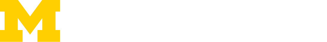 Long-Wire MURI Review Logo